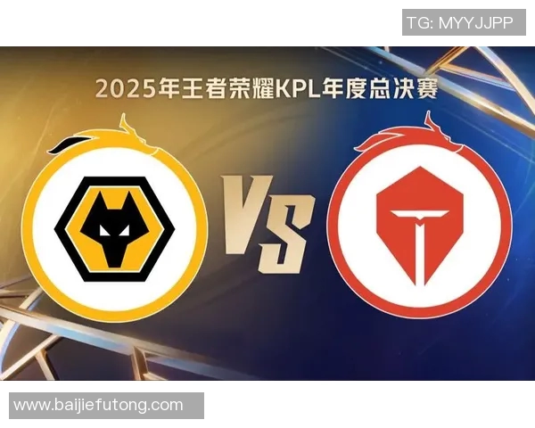 探讨TES战队在王者荣耀总决赛中的个人能力及其对比赛结果的影响分析